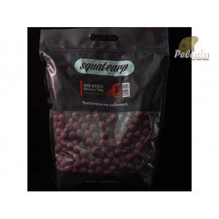 SQUAT Carp Hotové Boilies 5kg - BIG BOSS