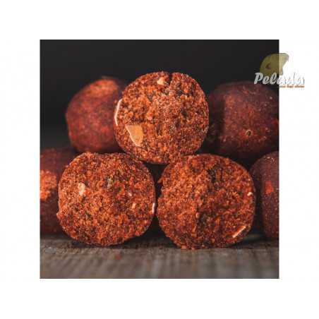 SQUAT Carp Hotové Boilies 5kg - BIG BOSS