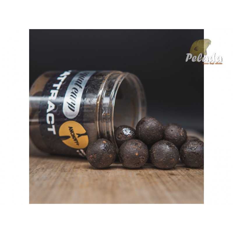 SQUAT Carp Hi-Attract Boilies v dipe 220g - ANCHOVY+