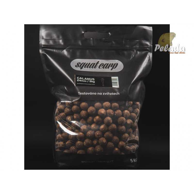SQUAT Carp Hotové Boilies 5kg - CALANUS