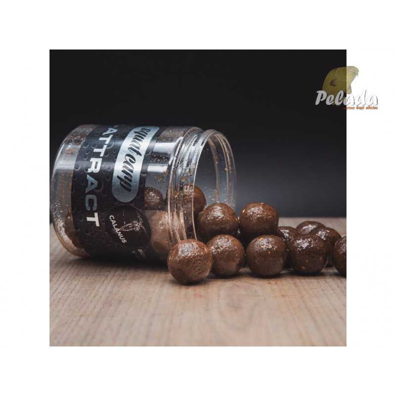 SQUAT Carp Hi-Attract Boilies v dipe CALANUS 220g