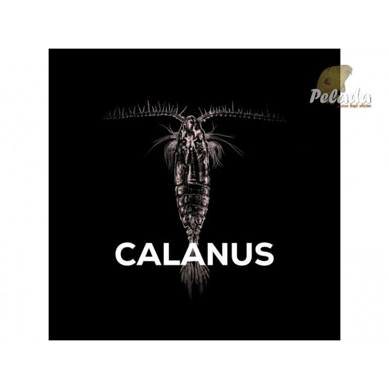 SQUAT Carp AMINO Pelety v dipe 15mm 180g - CALANUS