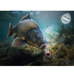 Nástraha D SNAX SHELL Krab-Krill wafters rozpustné 30g