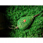 Bait-Tech pelety Sticky Method Micro Green 700g
