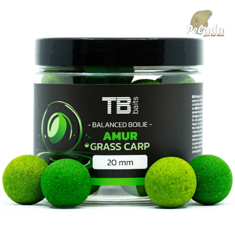 TB Baits Vyvážené Boilies Balanced + Atraktor Amur 100g 20mm