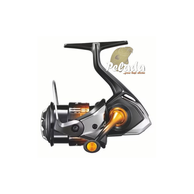 Navijak Shimano Soare BB A C2000SS PG
