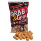 Starbaits Grab&Go Global Boilies Mega Fish 24mm 1kg