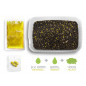 Pellet box Delphin Reaxe READY&GO Kukurica-Ananás 400g+120ml Booster