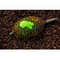 NOVÁKFEEDER World Class Method Fluo Syrup 75ml - Monster Ryba-Krab