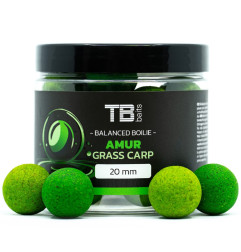 TB Baits Vyvážené Boilies Balanced + Atraktor Amur 100g 24mm